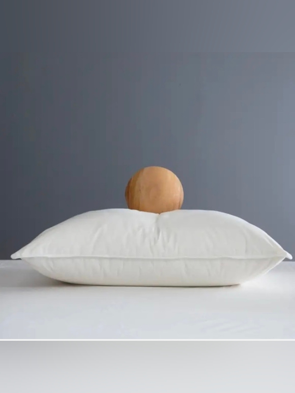 Quince Premium Duck Down Standard Medium Pillow